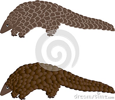 The Pangolin vintage engraved illustration Vector Illustration