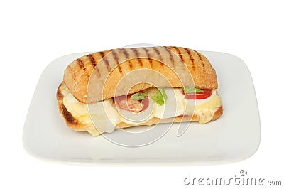 Panini on a plate Stock Photo