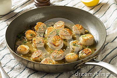 Panned Seared Scallops in Broth Stock Photo