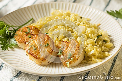 Panned Seared Scallops in Broth Stock Photo