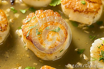 Panned Seared Scallops in Broth Stock Photo