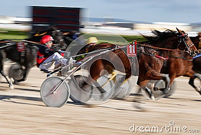 Horse harness racing in palma de mallorca hippodrome panning Editorial Stock Photo