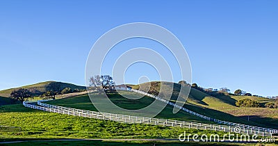 Pano A white ranch fence are running diagonally up a green grass hillside Stock Photo