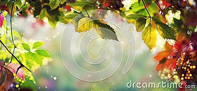 Panorama Banner / Background - Colorful autumn / fall leaves - Art work, Bokeh, Lens flares - Text, body, copy space Stock Photo