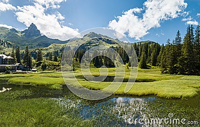 Panorama of Black Lake Schwarzsee marshland with summer vegetation Stock Photo