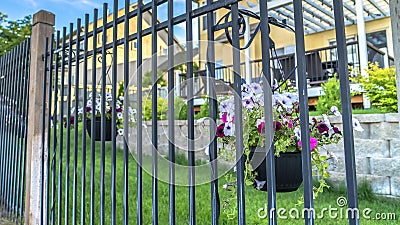 Panorama Black metal fence with potted colorful flowers against blurry homes and blue sky Stock Photo