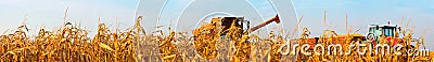 Panorama of the Corn Field with Harvest Combine and Tractor Stock Photo