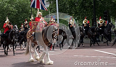 Panorama of drum horse with rider, with Household Cavalry behind, taking part in the Trooping the Colour parade Editorial Stock Photo