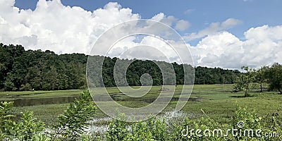 Panorama of Dyar Pasture Wildlife Management Area, Stock Photo