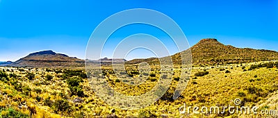 Panorama of the Endless wide open landscape of the semi desert Karoo Region in Free State and Eastern Cape Stock Photo