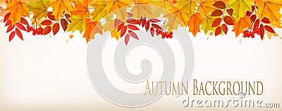 Panorama Fall Autumn Colorful Leaves Background. Vector Illustration