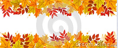 Panorama Fall Autumn Colorful Leaves Background. Vector Illustration