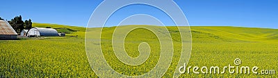 Panorama flower field with farm house Stock Photo