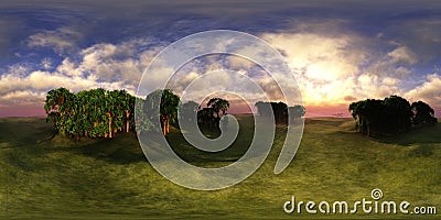 Panorama of a flower meadow, flower hills view. HDRI . equidistant projection Stock Photo