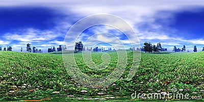 Panorama of a flower meadow, flower hills view. HDRI . equidistant projection Stock Photo