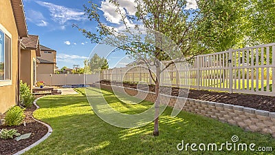 Panorama frame Home backyard with vibrant lawn and raised planting bed along white picket fence Stock Photo