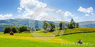 Lovely rural summer landscape in mountains Stock Photo