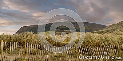 Panorama image, wooden fence and tall grass in foreground, Knocknarea hill in the background. Stock Photo