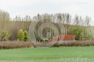 Panorama of the inhabited place next to the forest Stock Photo