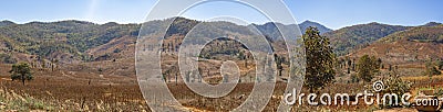 Panorama of the invading forest burned trees, dry cracked soil.Nature and environment Concept Stock Photo