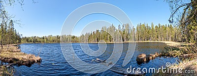 Panorama of Lake Forest Stock Photo