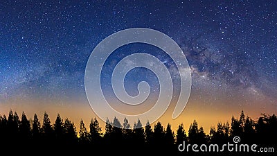 Panorama landscape with milky way, Night sky with stars and silhouette of pine tree Stock Photo