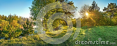 Panorama landscape with sun and forest and meadow Stock Photo