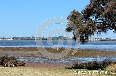 Panorama of Leschenault Estuary Bunbury West Aust Stock Photo