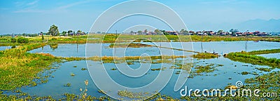 Panorama of lotus farm, Inpawkhon, Inle Lake, Myanmar Stock Photo