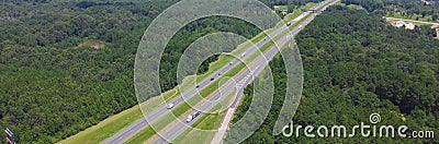 Panorama lush green Loblolly pine tree Pinus taeda in forestry along highway interstate 10 Stock Photo