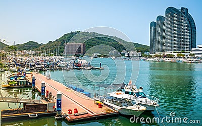 Panorama of marina and Sanya river view with boats and city buildings in Sanya city Hainan China Editorial Stock Photo