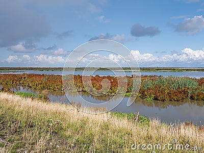 Panorama of marshland on manmade artificial island of Marker Wadden, Markermeer, Netherlands Stock Photo