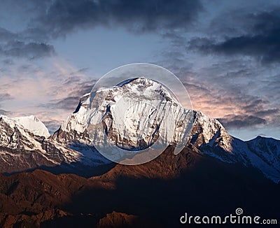 Panorama of mount Dhaulagiri at sunset, Nepal Himalaya Stock Photo