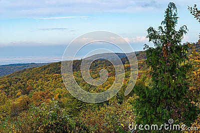 Panorama of Mount Fruska Gora in the fall Stock Photo