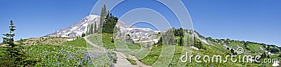 Panorama of Mount Rainier and Its Summer Meadows Stock Photo