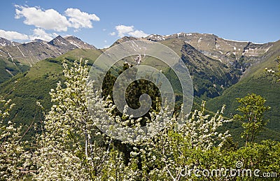 Panorama of National Park of Monti Sibillini in the spring season Stock Photo