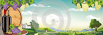 Panorama of nature-sunrise over the vineyard Vector Illustration