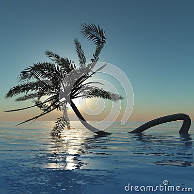 Panorama night beach, tropical beach at night, palm on night beach Stock Photo