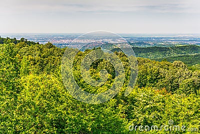 Panorama of Novi Sad from Fruska gora Stock Photo