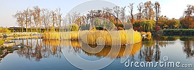 Panorama of ponds in Mezhigorye Kyiv region Novi Petrivtsi Stock Photo