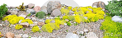 Panorama of rockery rock garden isolated on white background Stock Photo