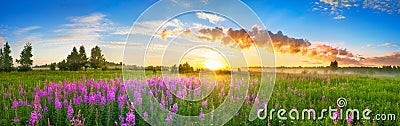 Panorama rural landscape with sunrise and blossoming meadow Stock Photo