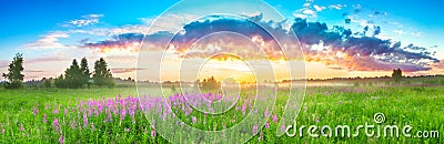 Panorama rural landscape with sunrise and blossoming meadow Stock Photo