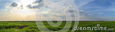 Panorama scene of green grass field with blue cloudy sky. Stock Photo