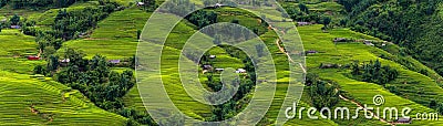 Panorama scene of rice fields and terrace on daylight sunshade a Stock Photo