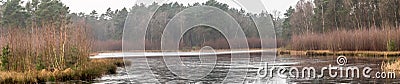 Panorama from the shore of a pond covered with ice, with trees and bushes in the background, a lot of space and width as header fo Stock Photo