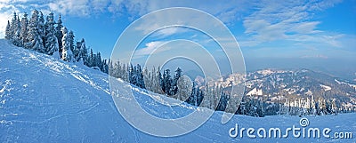 Panorama of ski piste on the background of spruce forest Stock Photo