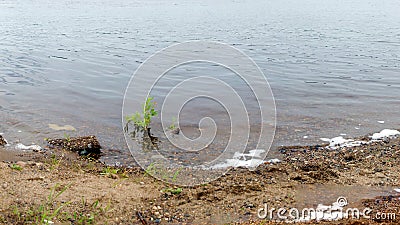 Panorama stone the shores of the North river with rocks grass Stock Photo