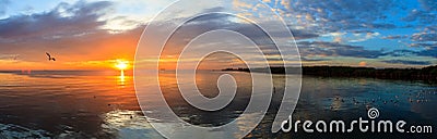 Panorama Tranquil scene cloudy sea sunset with seagulls flying at sunset. Stock Photo