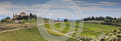 Panorama of a typical Tuscan vineyard Stock Photo
